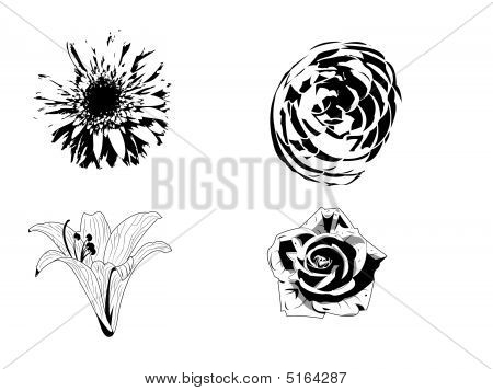Blomster