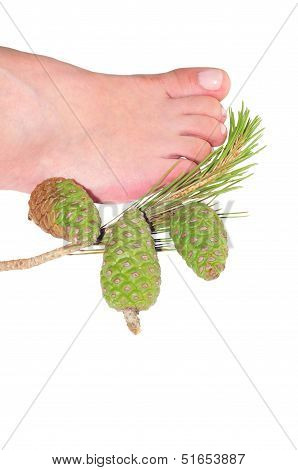 First Plane Of Foot Of Woman Next To A Pineapple Of Pine Piï¿½onero