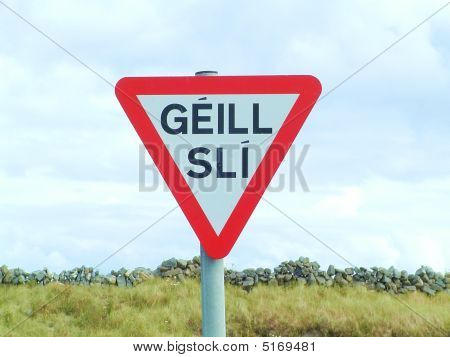 Vigepligtstavle