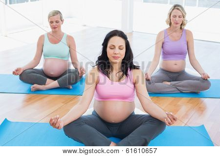 Meditating pregnant women in yoga class sitting on mats in lotus pose in a fitness studio