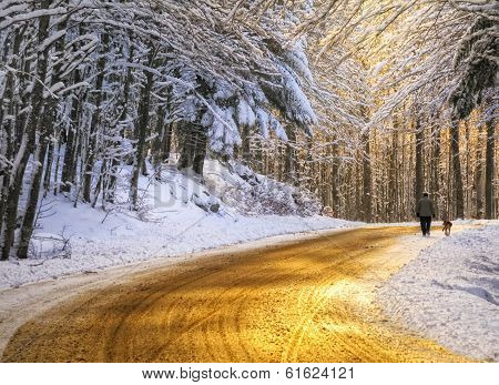 Golden Road