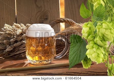 Beer
