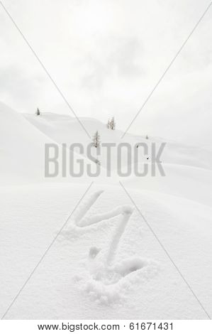 Lightning Bolt On A Snow