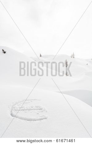Euro Symbol On A Snow