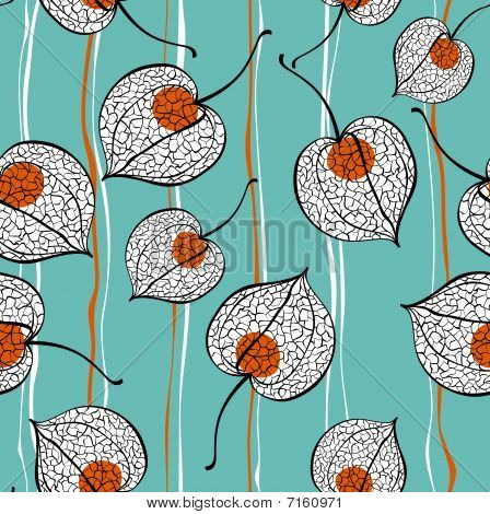 Physalis frø mønster