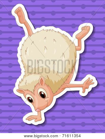 Illustration of a single hedgehog