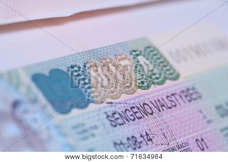 visa in a passport macro
