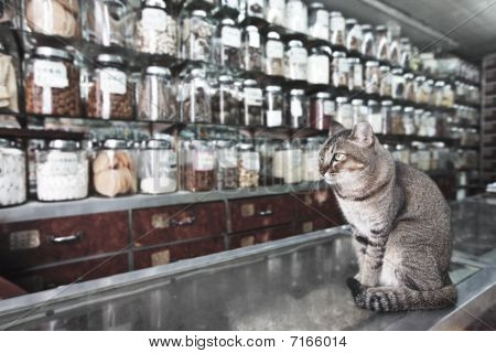 Vente d'herbes et produits séchés