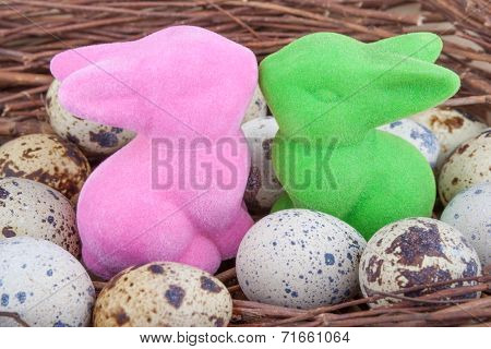Quail eggs in nest with two Easter bunnies