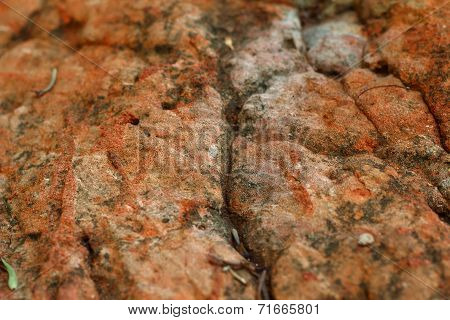 Background Pattern
