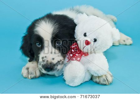 Best Friends
