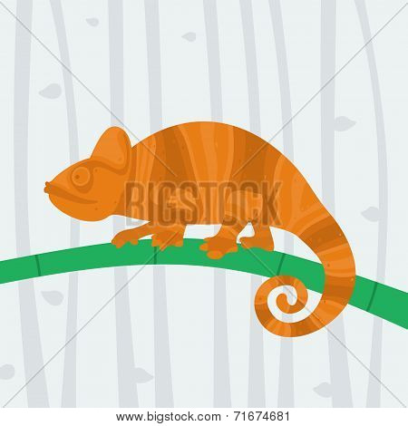 Chameleon sitting on a branch