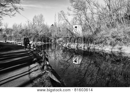Pond with trees reflection on water