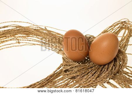 Eggs