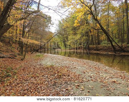 Fall Scenery Along A Gentle Creek