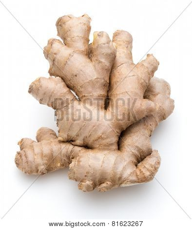 Fresh ginger root or rhizome isolated on white background cutout