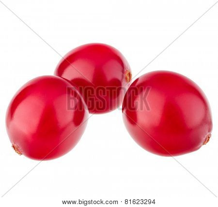 cranberry  isolated on white background cutout