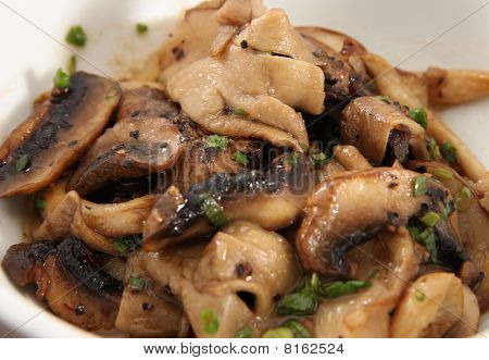 Souted Pilz