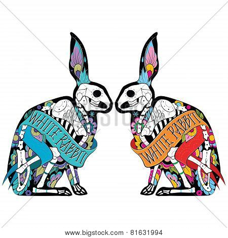 Colorfull rabbits