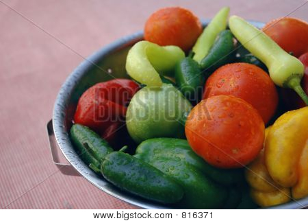 Vegtables orgânicos frescos em uma peneira sobre um cobertor do piquenique