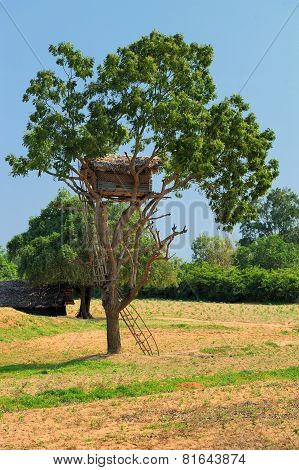 Tree House