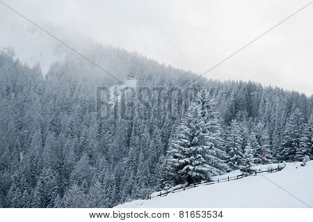 Winter scenery