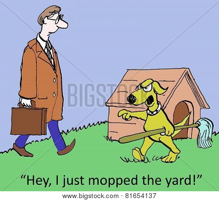 I Mopped The Yard