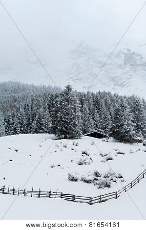Winter scenery