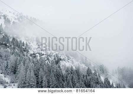 Winter scenery