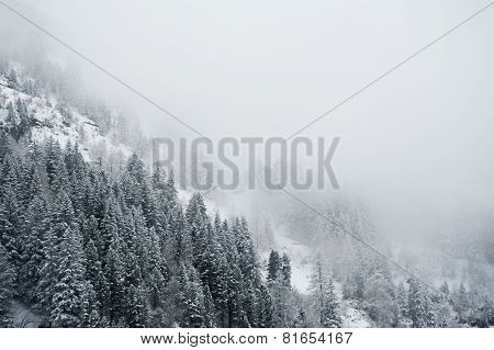 Winter scenery