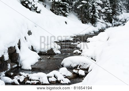 Winter scenery