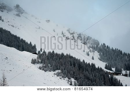 Winter scenery