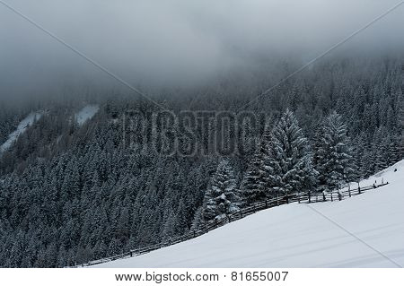 Winter scenery