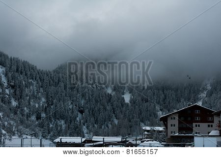 Winter scenery