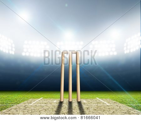 Cricket Stadium And Wickets