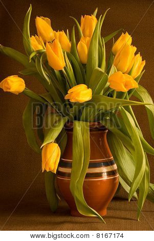 Żółte tulipany w glinianym garnku