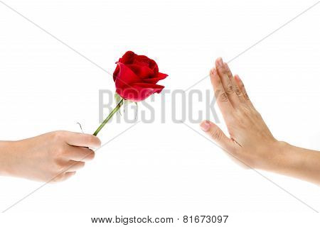 Hand Refused The Gift, Flowers