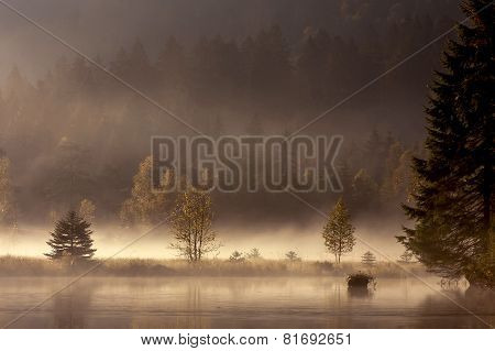 misty morning on Vosges mountains, France
