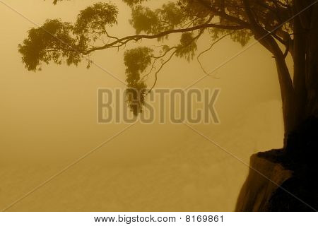Foggy Abyss
