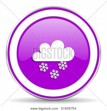 snowing violet icon waether forecast sign