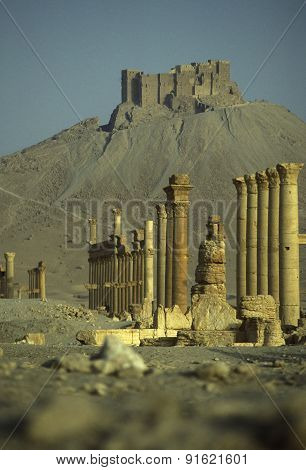 Syria Palmyra Roman Ruins