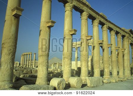 Syria Palmyra Roman Ruins