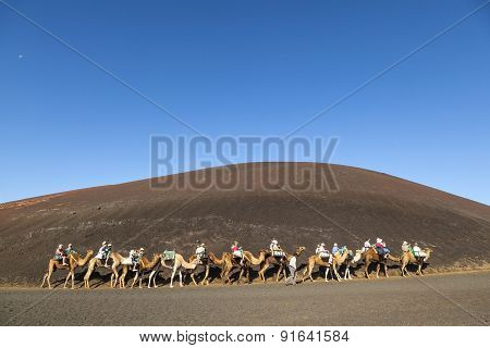 Tourists Ride On Camels Being Guided By Local People