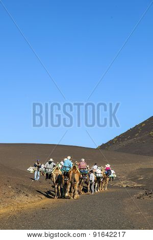 Tourists Ride On Camels Being Guided By Local People