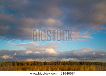 Clouds over the forest