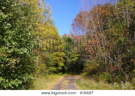 Herbst Lane