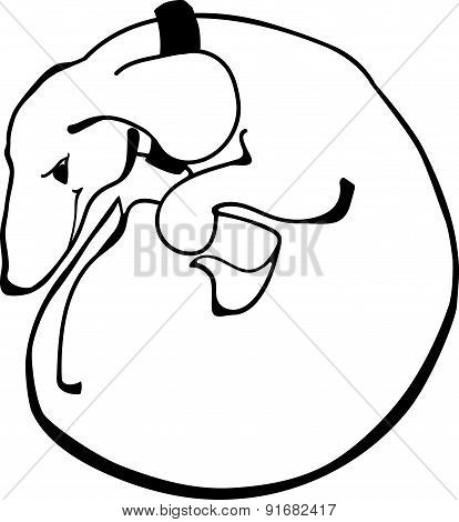 Silhouette of the smiling dachshund in black color