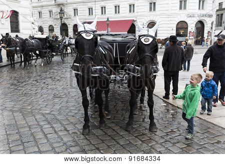 Horse Drawn Carriage Michaelerplatz