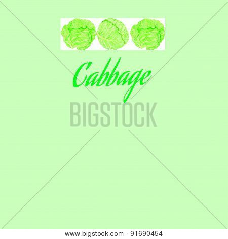cabbage
