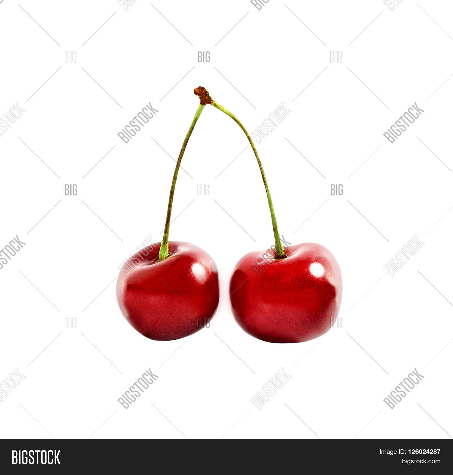 Two Cherries Isolated Image & Photo (Free Trial) | Bigstock